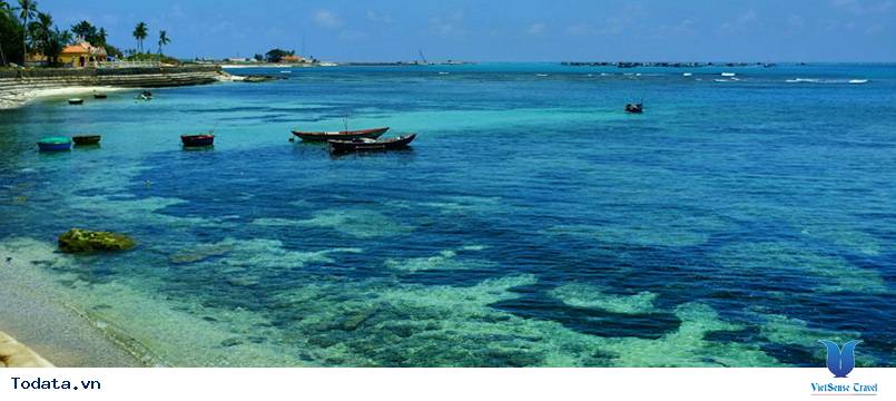 Tour Đảo Lý Sơn 2 ngày - Ảnh 1